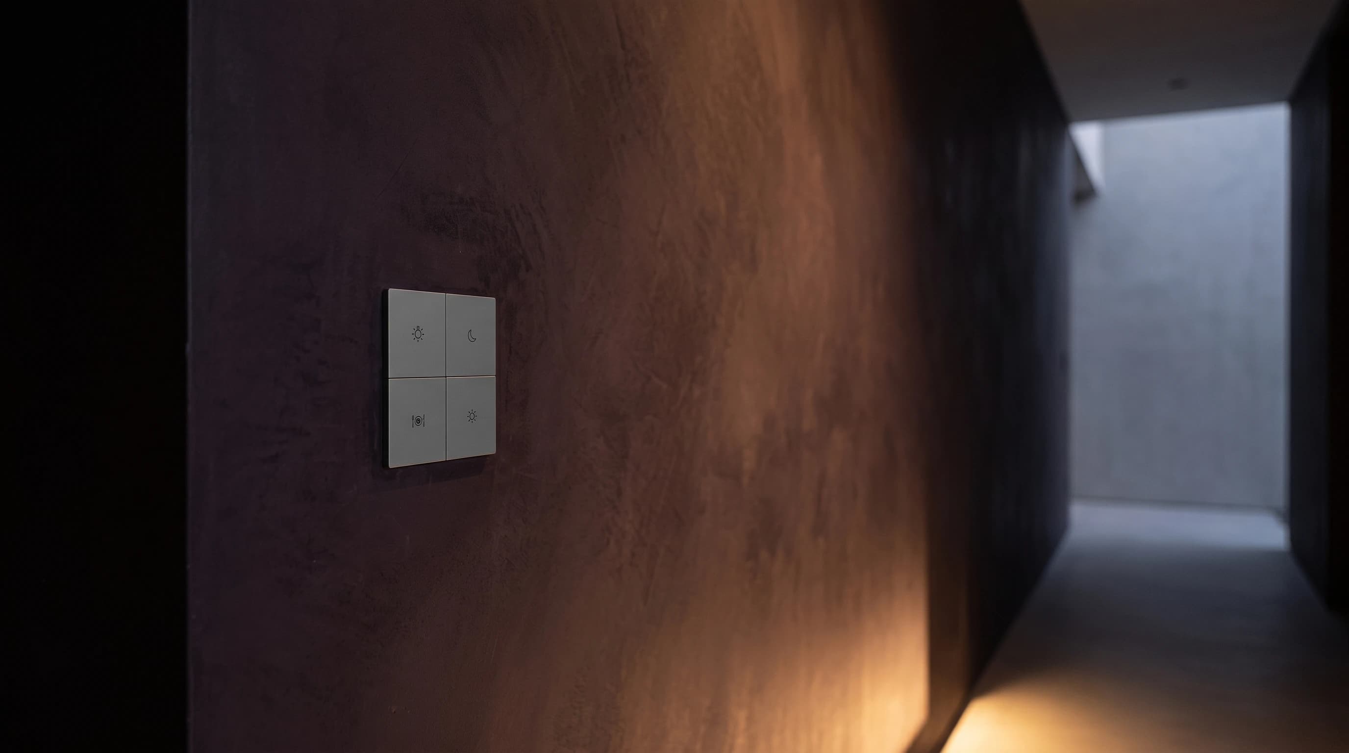 Smart Switches